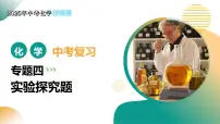 专题四 实验探究题（课件）2025年中考化学二轮复习讲练测（全国通用）