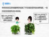 7.3 溶液濃稀的表示 課件 2024-2025學(xué)年九年級(jí)化學(xué)科粵版下冊(cè)