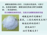 魯教版化學(xué)九年級下冊第八單元 第三 碳酸鈉和碳酸氫鈉第一課時課件