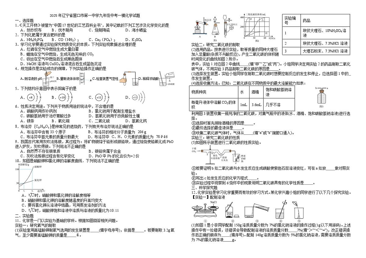 2025年辽宁省营口市第一中学九年级中考一模化学试题（试卷版）第1页