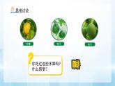 8.1 溶液的酸堿性 課件 化學(xué)滬教版（2024）九年級(jí)下冊(cè)