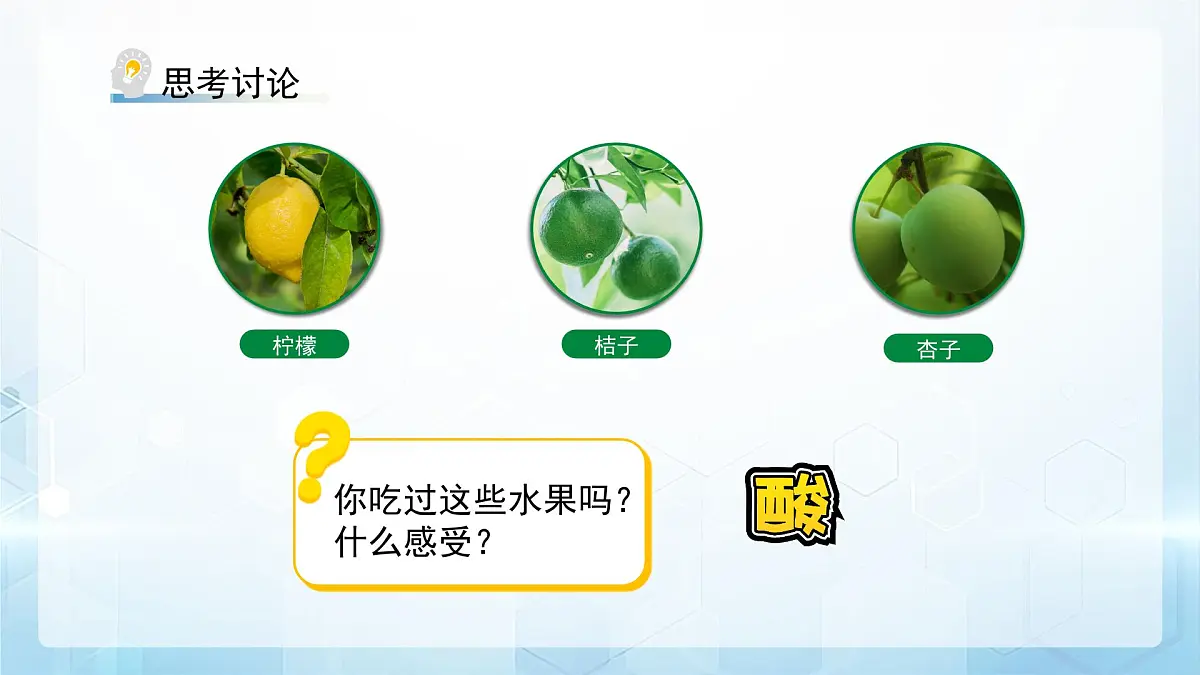 8.1 溶液的酸碱性 课件 化学沪教版（2024）九年级下册第3页