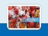 第十單元 整理與提升 課件 2024-2025學年九年級化學人教版下冊