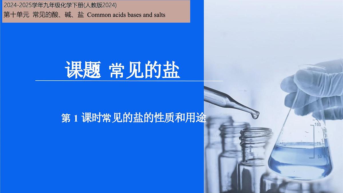 10.3 常见的盐（第1课时）课件 2024-2025学年九年级化学人教版下册第1页