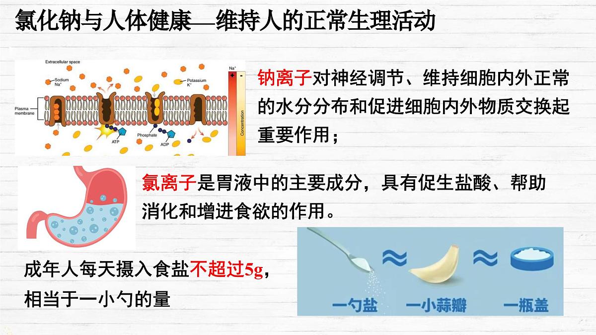 10.3 常见的盐（第1课时）课件 2024-2025学年九年级化学人教版下册第8页