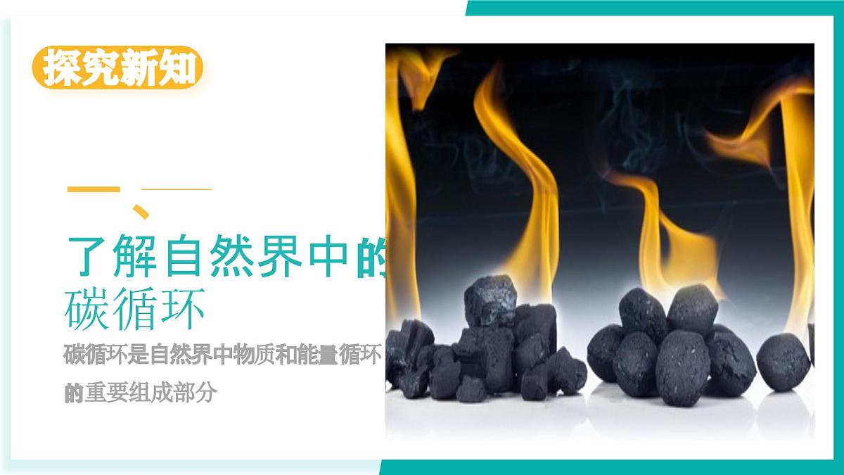 第三节 碳达峰与碳中和（同步课件）2025学年八年级化学全一册鲁教版五四学制第4页