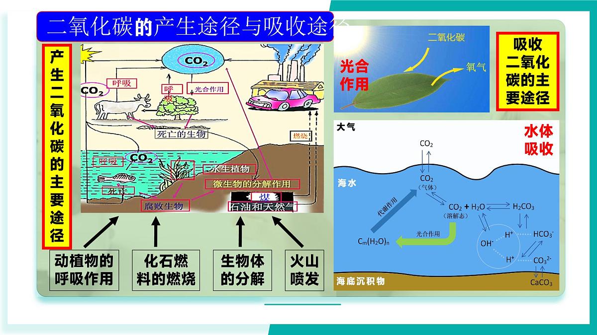 第三节 碳达峰与碳中和（同步课件）2025学年八年级化学全一册鲁教版五四学制第7页