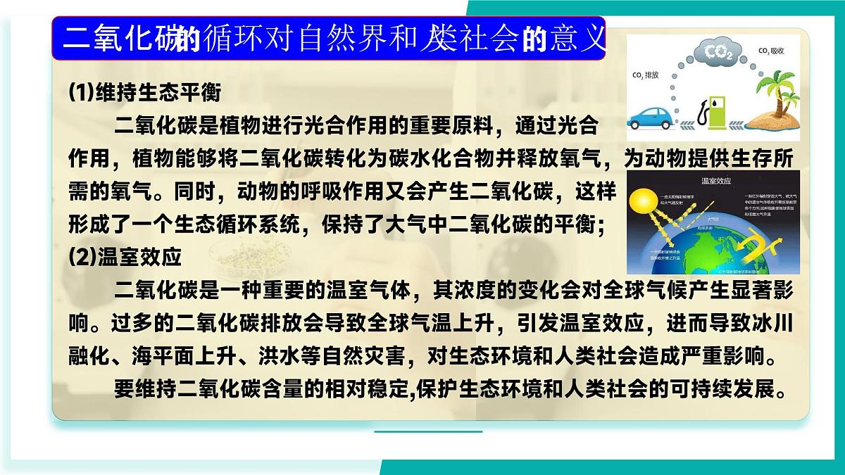 第三节 碳达峰与碳中和（同步课件）2025学年八年级化学全一册鲁教版五四学制第8页