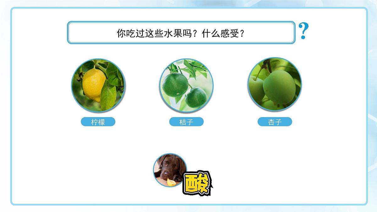 第十单元课题2 常见的酸和碱 第1课时 2025学年九年级化学人教版（2024）下册课件第3页