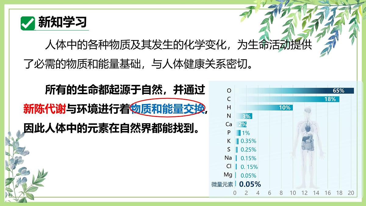 课题1化学与人体健康（第1课时） 2025学年九年级化学下册课件人教版2024第6页