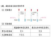 8.1 溶液的酸堿性-2024-2025學(xué)年九年級(jí)下化學(xué)同步課件（2025版）科粵版