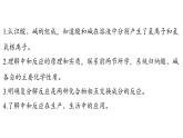 8.3 酸和堿反應(yīng)-2024-2025學(xué)年九年級(jí)下化學(xué)同步課件（2025版）科粵版