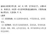 8.5 化學(xué)肥料-2024-2025學(xué)年九年級(jí)下化學(xué)同步課件（2025版）科粵版