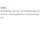 8.5 化學(xué)肥料-2024-2025學(xué)年九年級(jí)下化學(xué)同步課件（2025版）科粵版