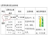8.5 化學(xué)肥料-2024-2025學(xué)年九年級(jí)下化學(xué)同步課件（2025版）科粵版