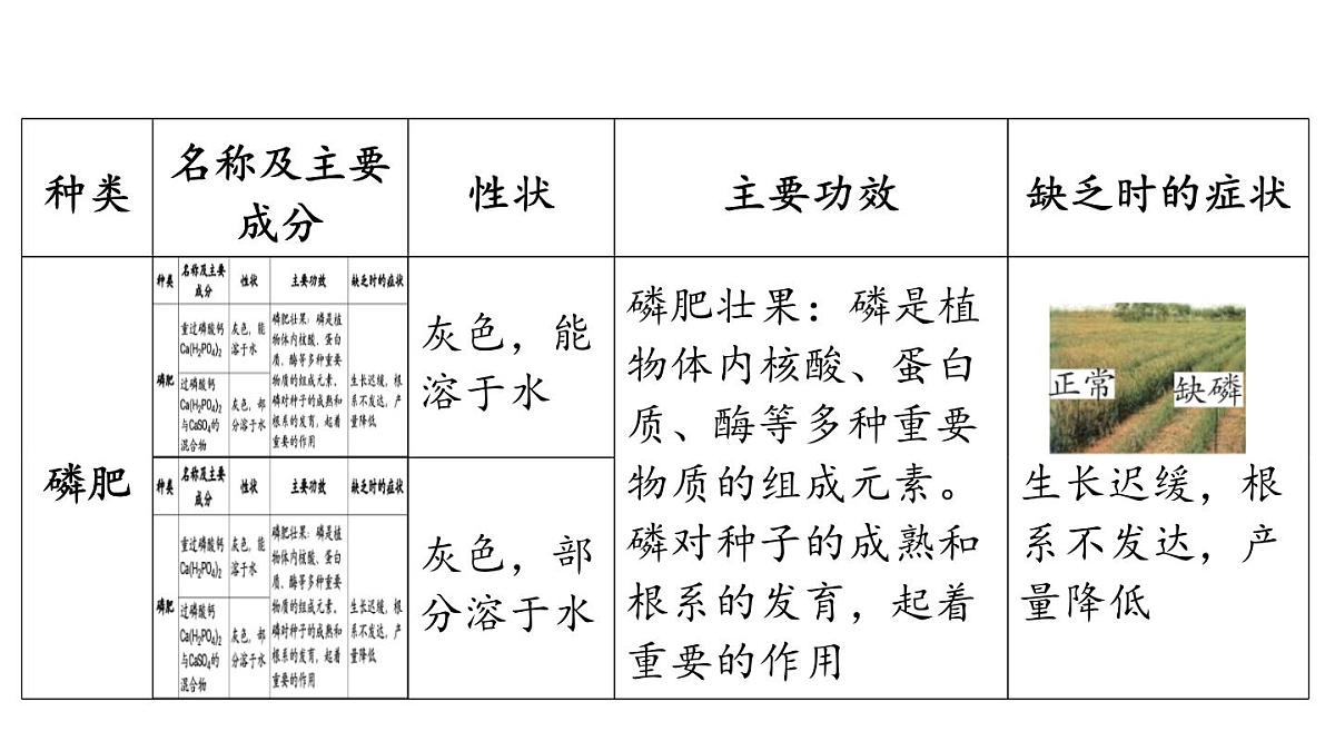8.5 化学肥料-2024-2025学年九年级下化学同步课件（2025版）科粤版第8页