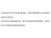 第1節(jié) 溶液的酸堿性-2024-2025學(xué)年九年級(jí)下化學(xué)同步課件（2025版）滬教版