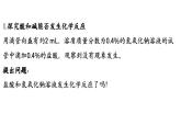 第七單元 第四節(jié) 酸堿中和反應(yīng)-2024-2025學(xué)年九年級下化學(xué)同步課件（2025版）魯教版