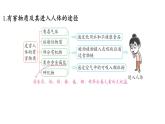 第十單元 第三節(jié) 遠(yuǎn)離有毒物質(zhì)-2024-2025學(xué)年九年級下化學(xué)同步課件（2025版）魯教版