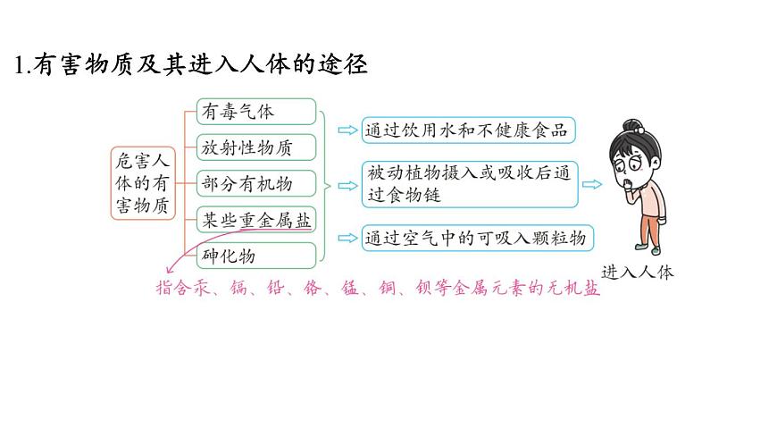 第十单元 第三节 远离有毒物质-2024-2025学年九年级下化学同步课件（2025版）鲁教版第3页