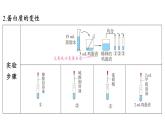 第十單元 第三節(jié) 遠(yuǎn)離有毒物質(zhì)-2024-2025學(xué)年九年級下化學(xué)同步課件（2025版）魯教版