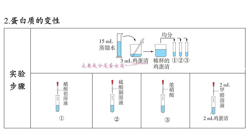 第十单元 第三节 远离有毒物质-2024-2025学年九年级下化学同步课件（2025版）鲁教版第4页