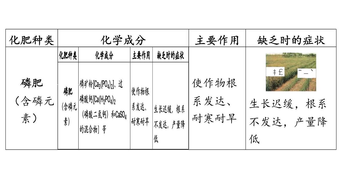 第十一单元 第三节 化学与农业生产-2024-2025学年九年级下化学同步课件（2025版）鲁教版第5页