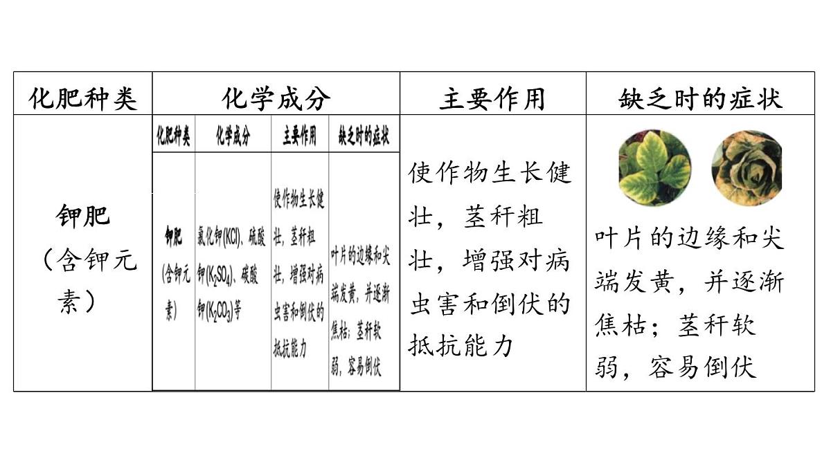 第十一单元 第三节 化学与农业生产-2024-2025学年九年级下化学同步课件（2025版）鲁教版第6页