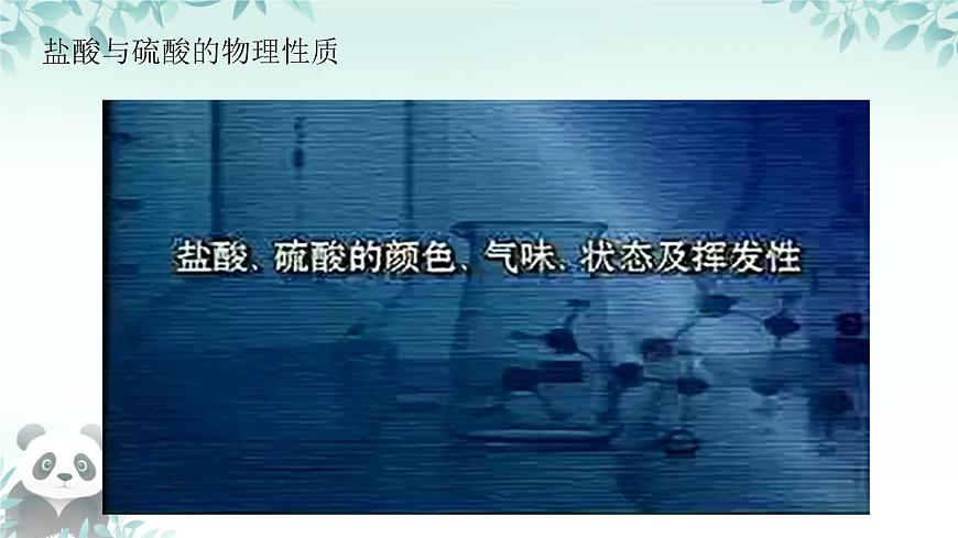 10.2 常见的酸和碱（第1课时）课件 2024-2025学年九年级化学人教版下册第2页