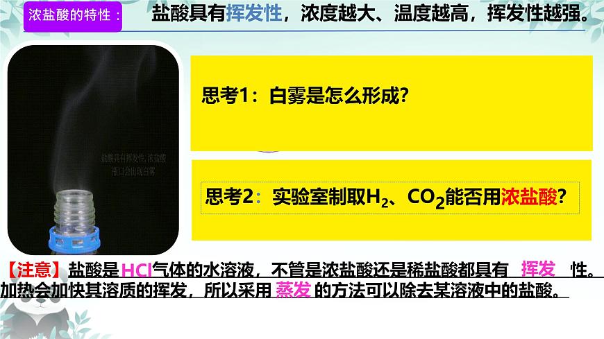 10.2 常见的酸和碱（第1课时）课件 2024-2025学年九年级化学人教版下册第3页