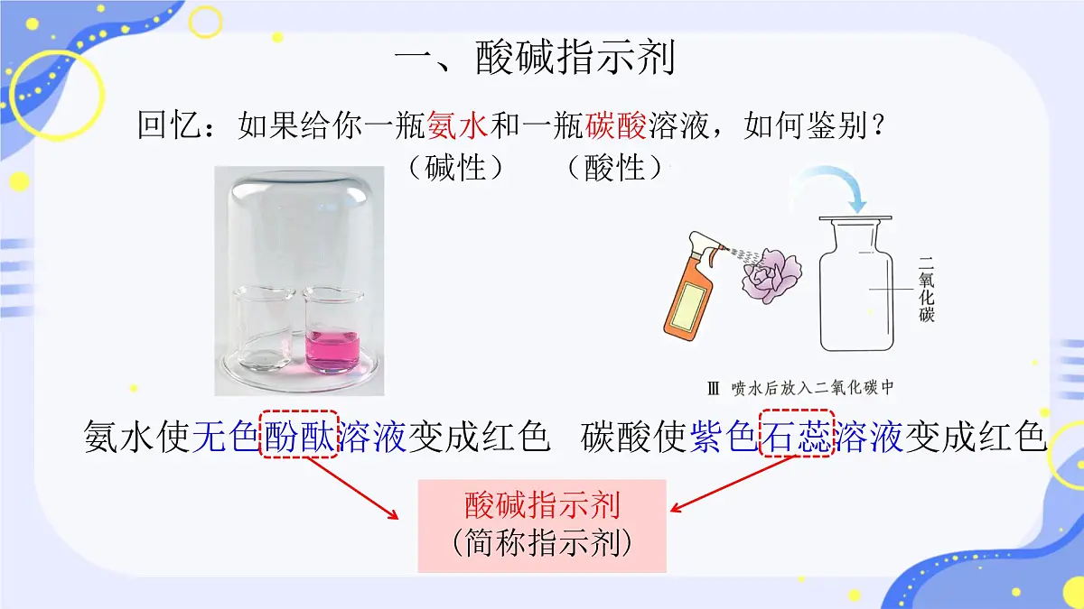 10.1 溶液的酸碱性 课件 2024-2025学年九年级化学人教版下册第8页