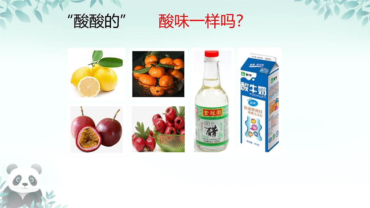10.1 溶液的酸碱性 课件 2024-2025学年九年级化学人教版下册第2页