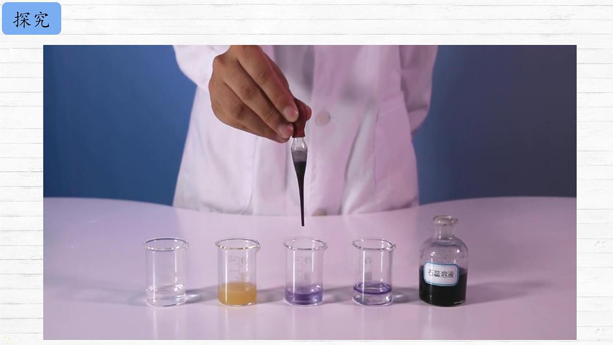 10.1 溶液的酸碱性 课件 2024-2025学年九年级化学人教版下册第5页