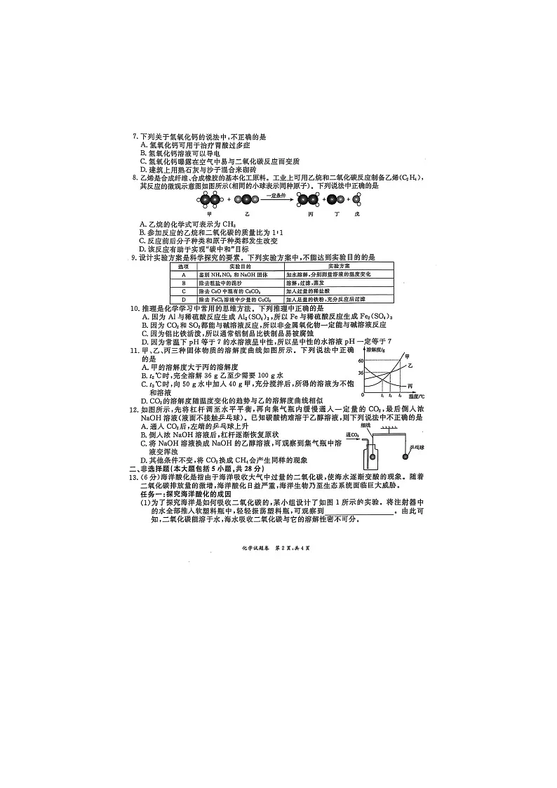 安徽省淮北五校2025年中考联考一模（扫描版）化学试卷第2页