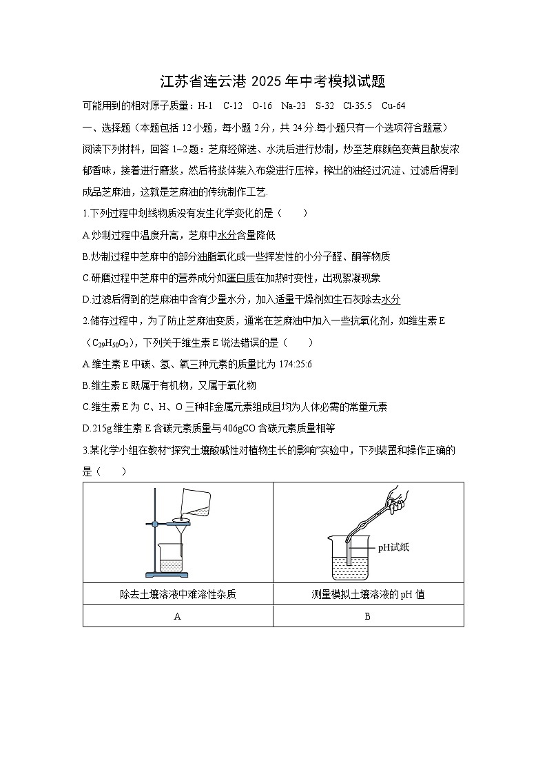 江苏省连云港2025年中考模拟化学第1页