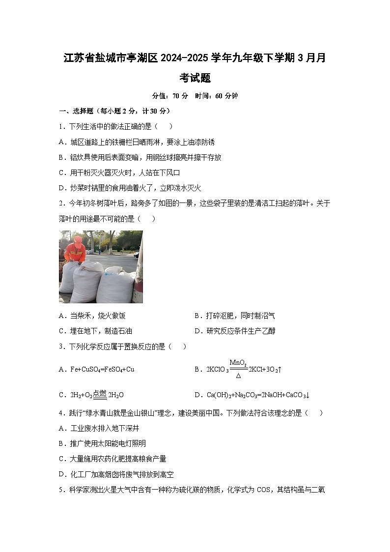 江苏省盐城市亭湖区2024-2025学年九年级下学期3月月考化学第1页