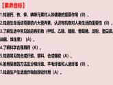 第十一單元 整理與提升 課件 2024-2025學年九年級化學人教版下冊
