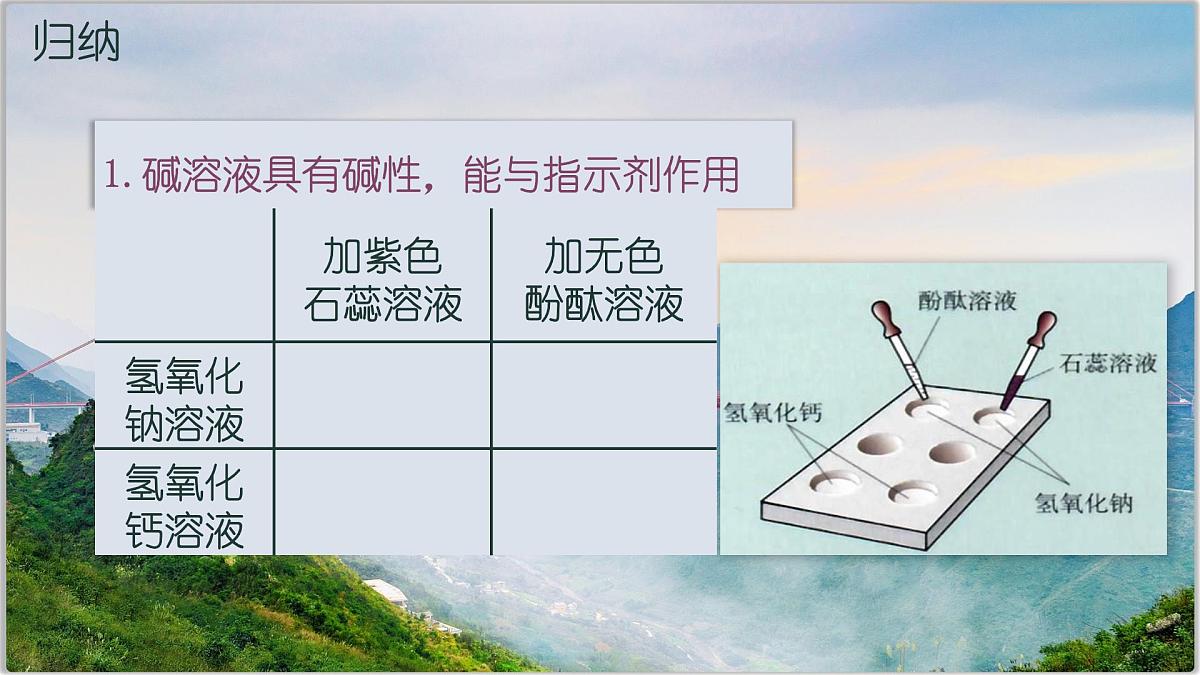 10.2常见的酸和碱 第5课时-2024-2025学年九年级化学人教版（2024）下册课件第3页