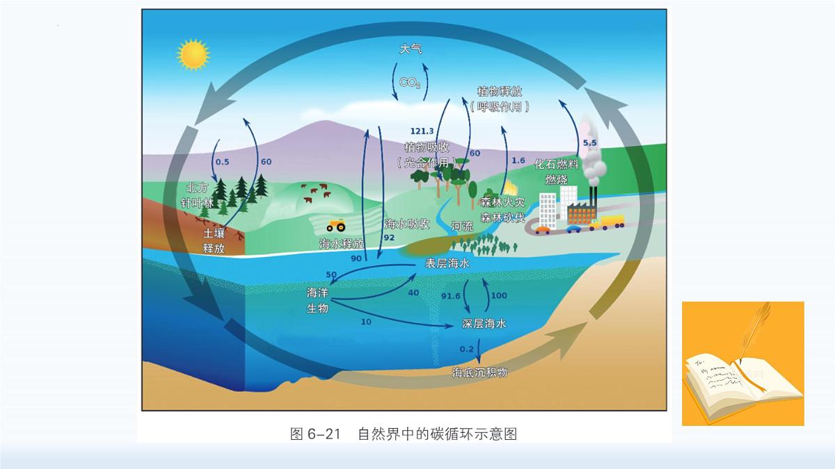 6.3.1控制燃烧 碳达峰和碳中和（第一课时）-2024-2025学年九年级化学鲁教版上册课件第8页