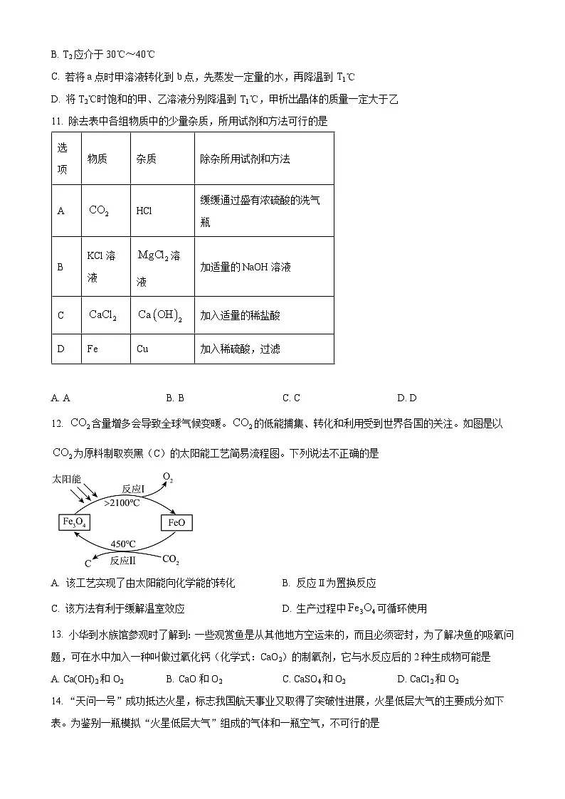 2025年江苏省盐城市大丰区中考一模化学试题（原卷版+解析版）第3页