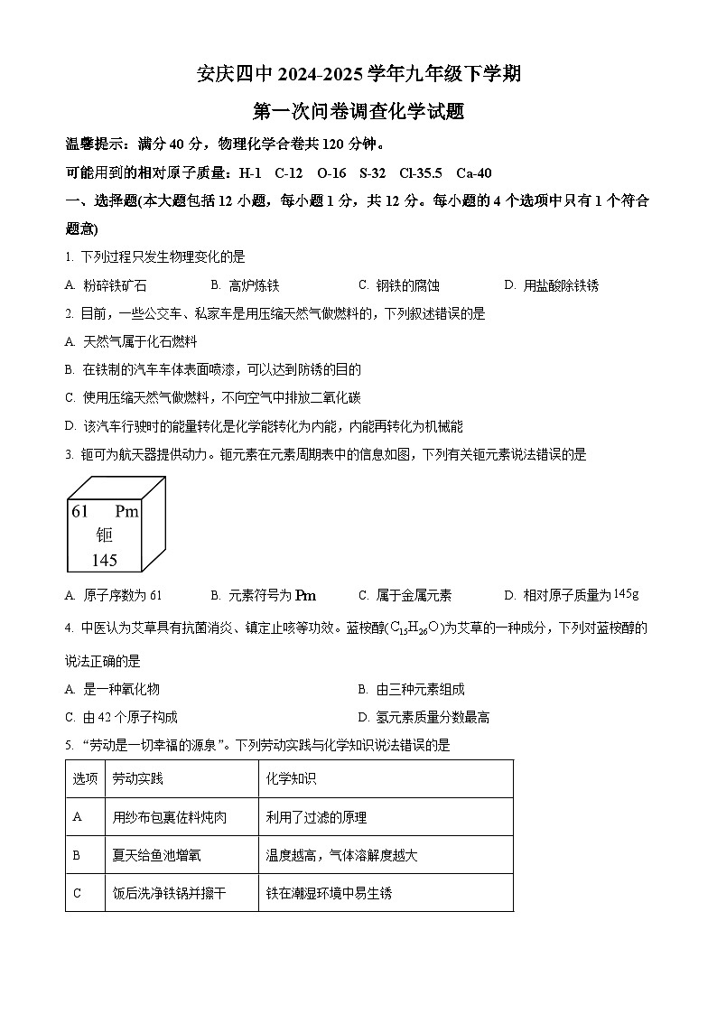 安徽省安庆市第四中学2024-2025学年九年级下学期3月月考化学试题（原卷版+解析版）第1页