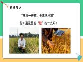 8.5 化學(xué)肥料 2025學(xué)年九年級化學(xué)科粵版（2024）下冊課件
