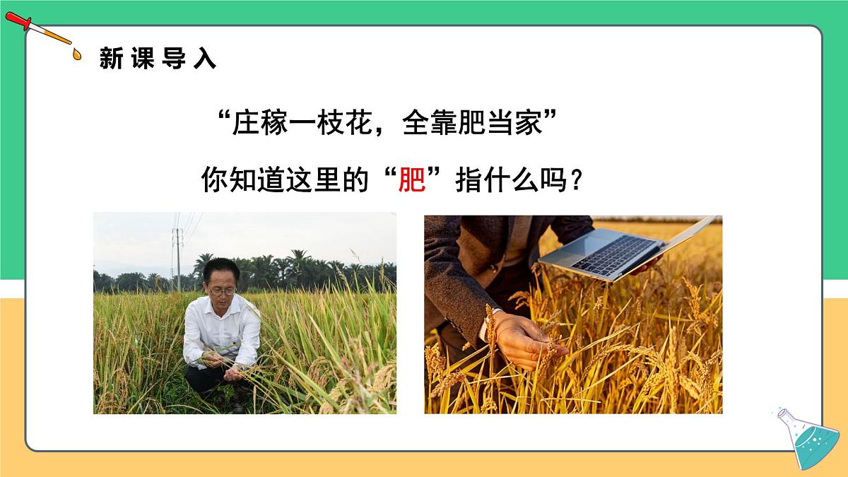 8.5 化学肥料 2025学年九年级化学科粤版（2024）下册课件第3页