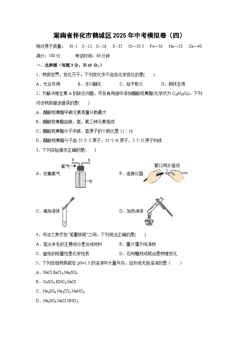 湖南省怀化市鹤城区2025年中考模拟卷（四）化学试卷（解析版）第1页