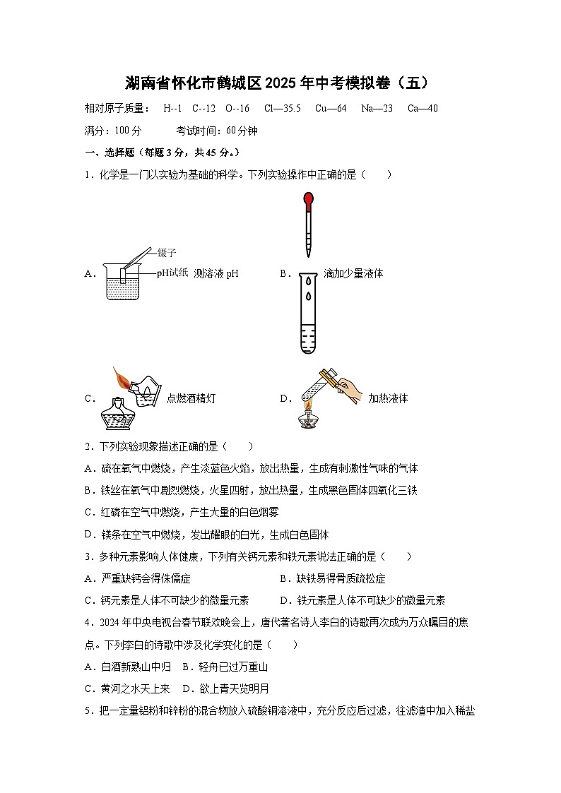湖南省怀化市鹤城区2025年中考模拟卷（五）化学试卷（解析版）第1页