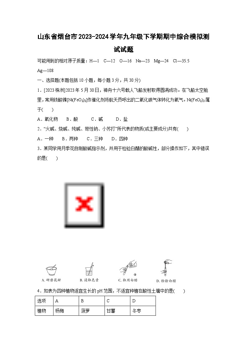 山东省烟台市2023-2024学年九年级下学期期中综合模拟测试化学试卷（解析版）第1页