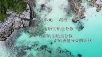 初中化学人教版(2024)九年级下册(2024)溶质的质量分数图文ppt课件