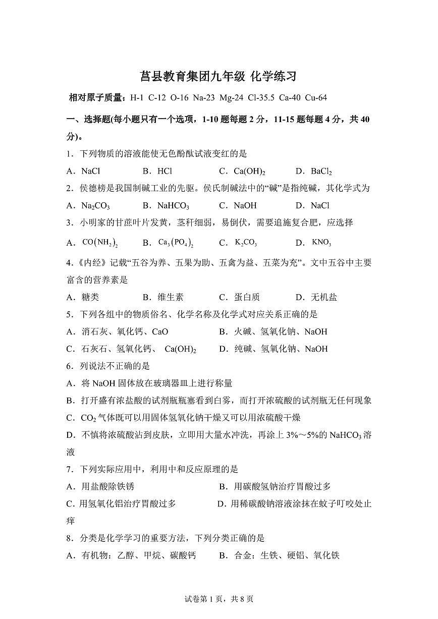 2024-2025学年山东省日照市莒县九年级下学期第一次月考化学检测试题（含解析）第1页