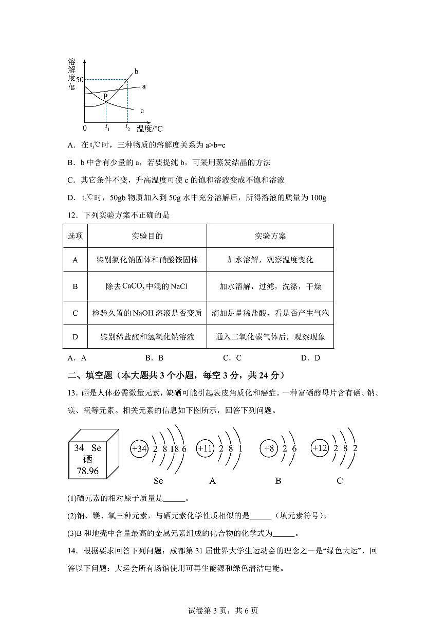 2024-2025学年四川省内江市隆昌市九年级下学期第一次月考化学检测试题（含解析）第3页