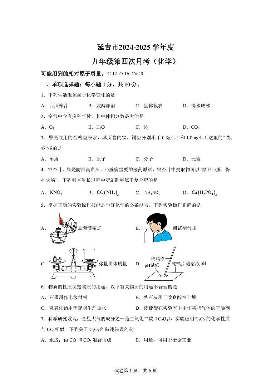 2025届吉林省延吉市中考（一模）化学检测试题（含解析）第1页